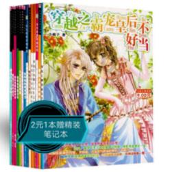 孤独的流浪者救援